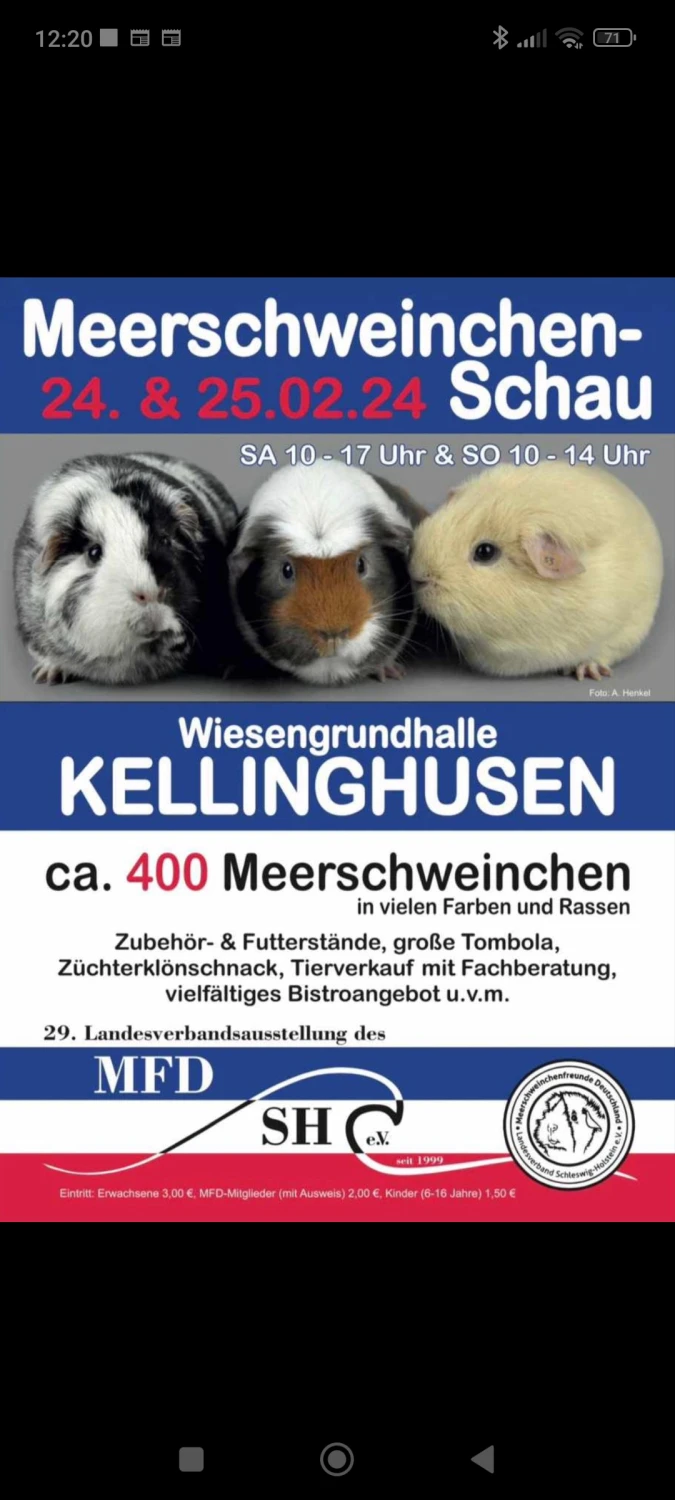 Toni´s Tanten, Meerschweinchen